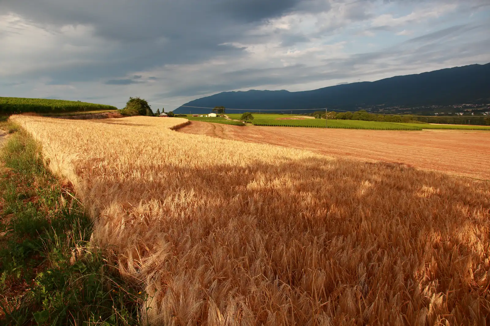 stephane-castella-photographe-geneve-landscape-00004