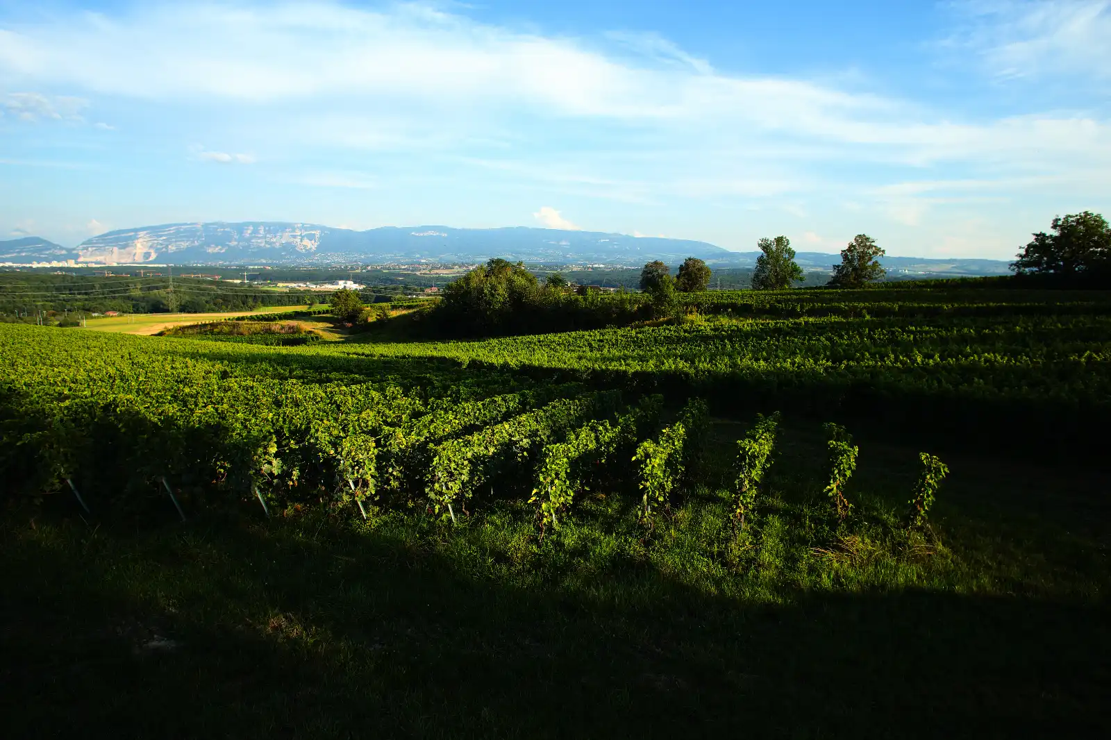 stephane-castella-photographe-geneve-landscape-00007
