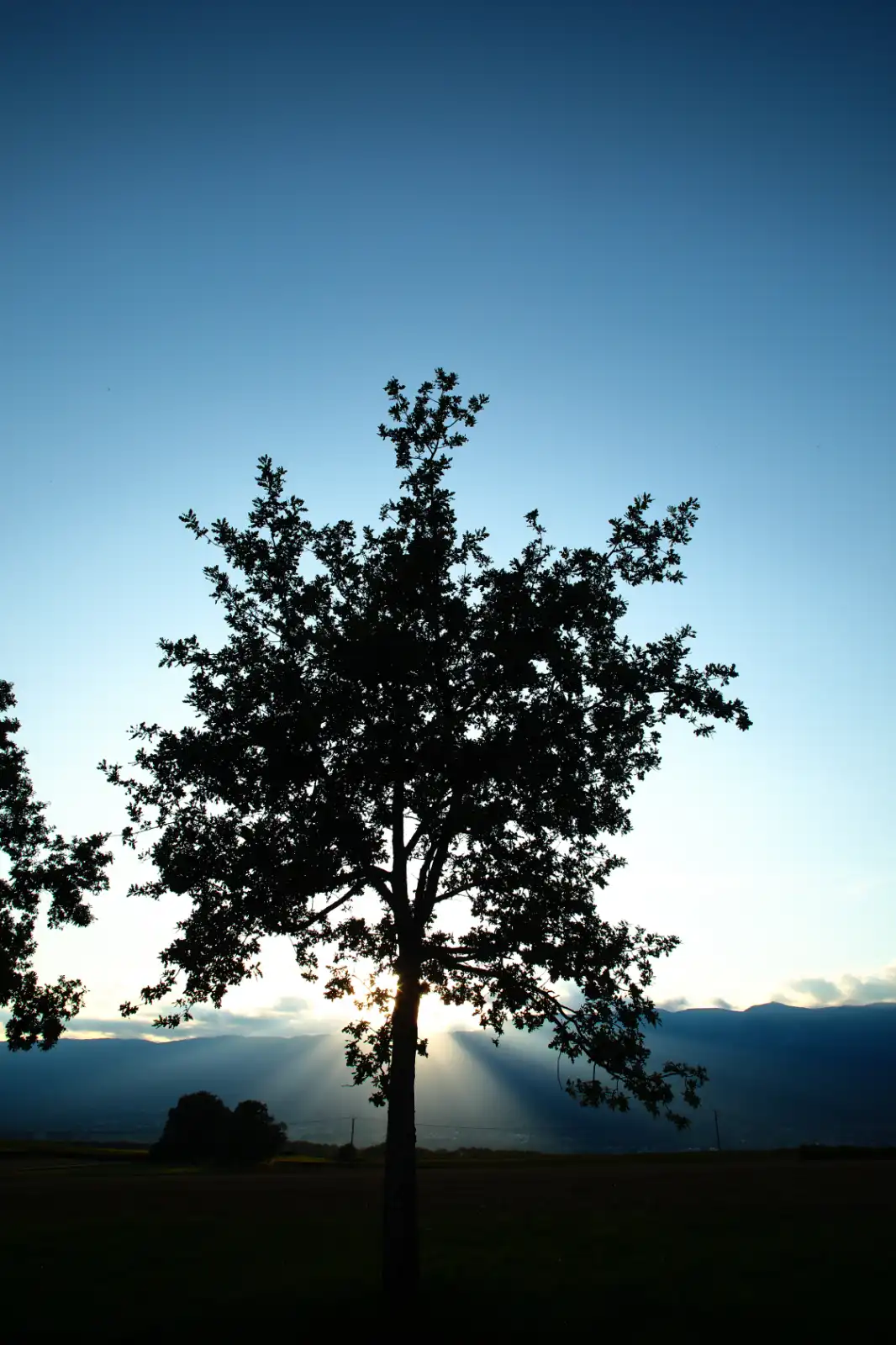 stephane-castella-photographe-geneve-landscape-00008