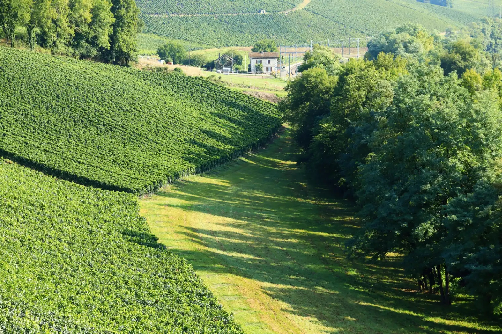 stephane-castella-photographe-geneve-landscape-00010