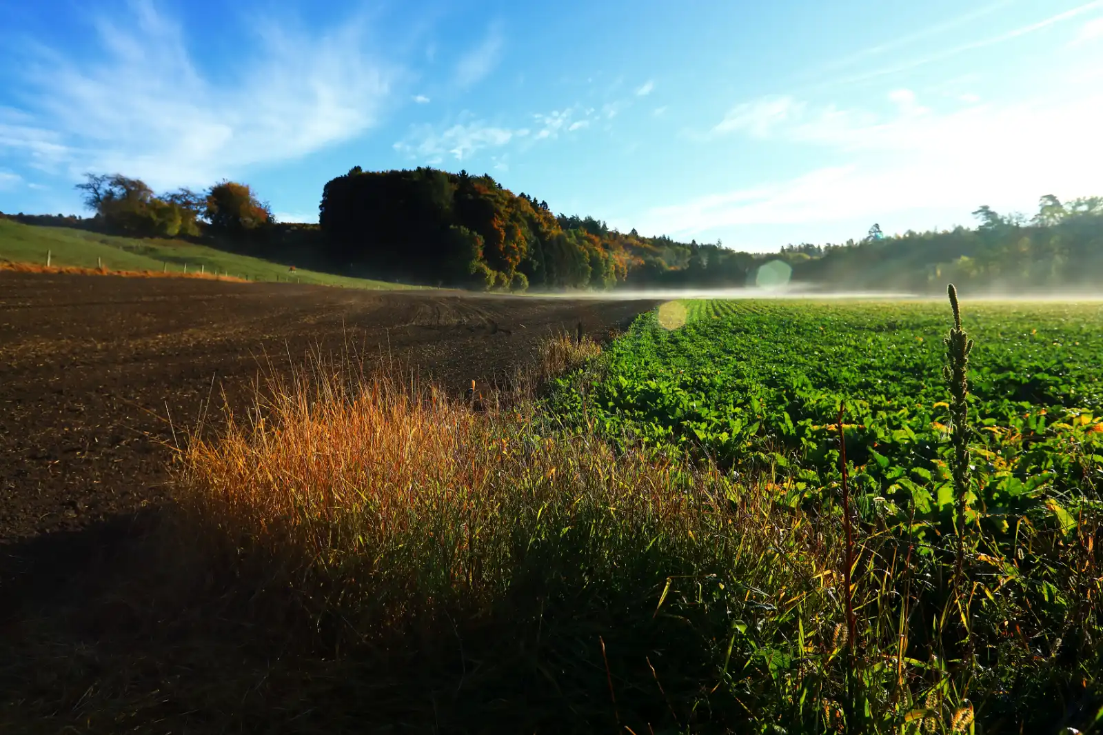 stephane-castella-photographe-geneve-landscape-00013