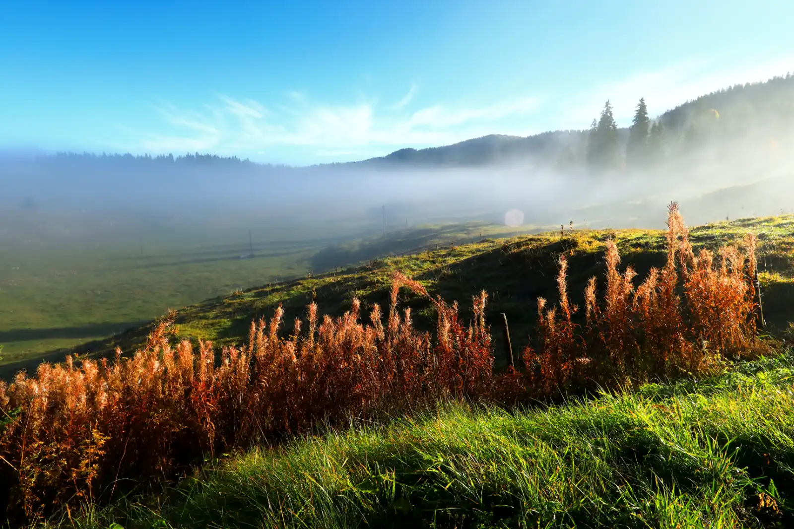 stephane-castella-photographe-geneve-landscape-00014