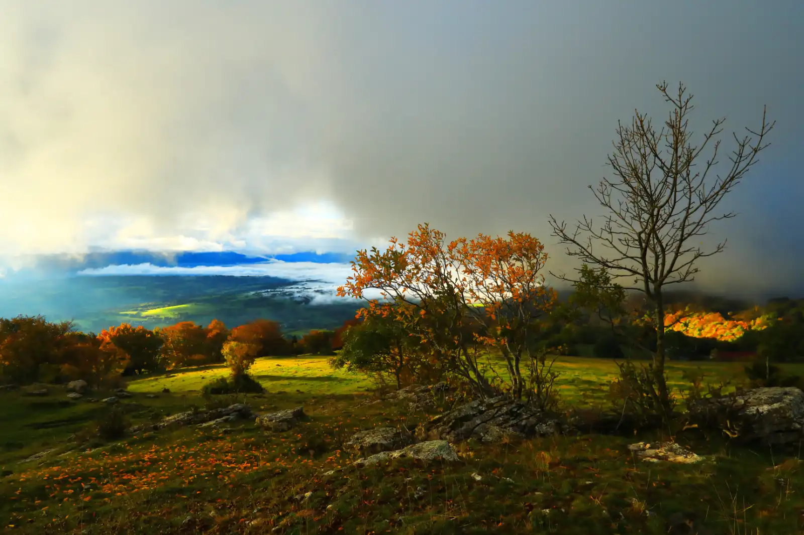stephane-castella-photographe-geneve-landscape-00019