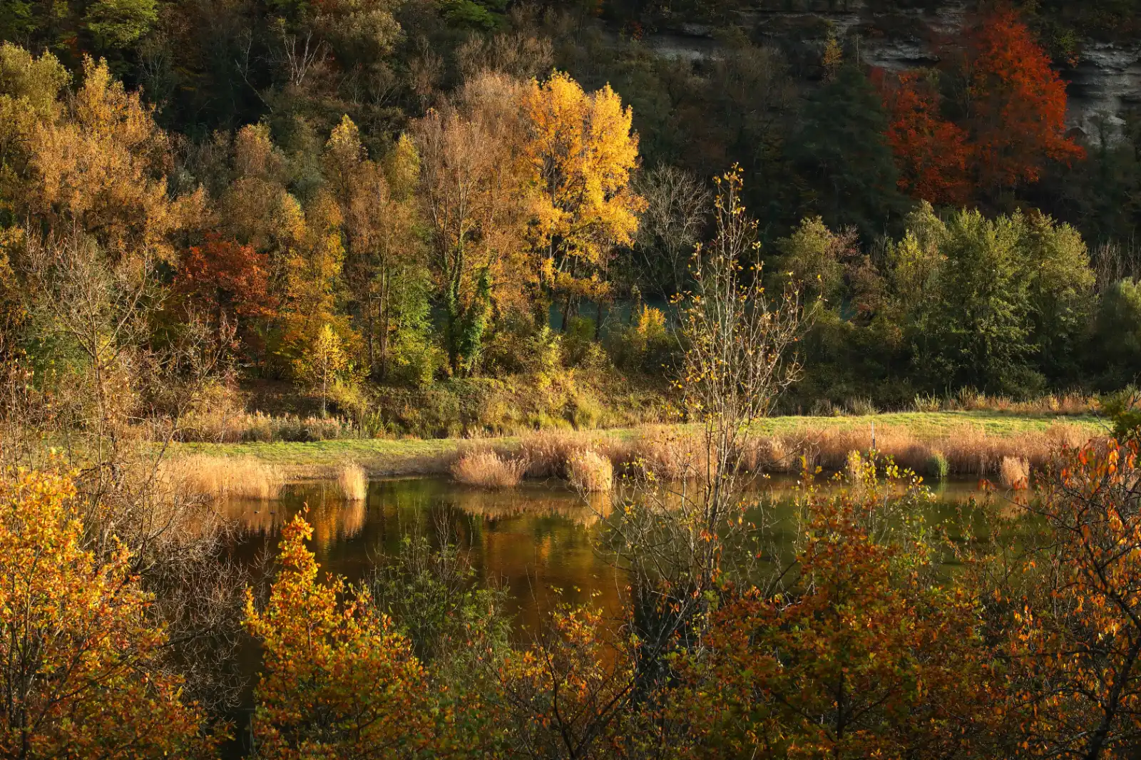 stephane-castella-photographe-geneve-landscape-00028