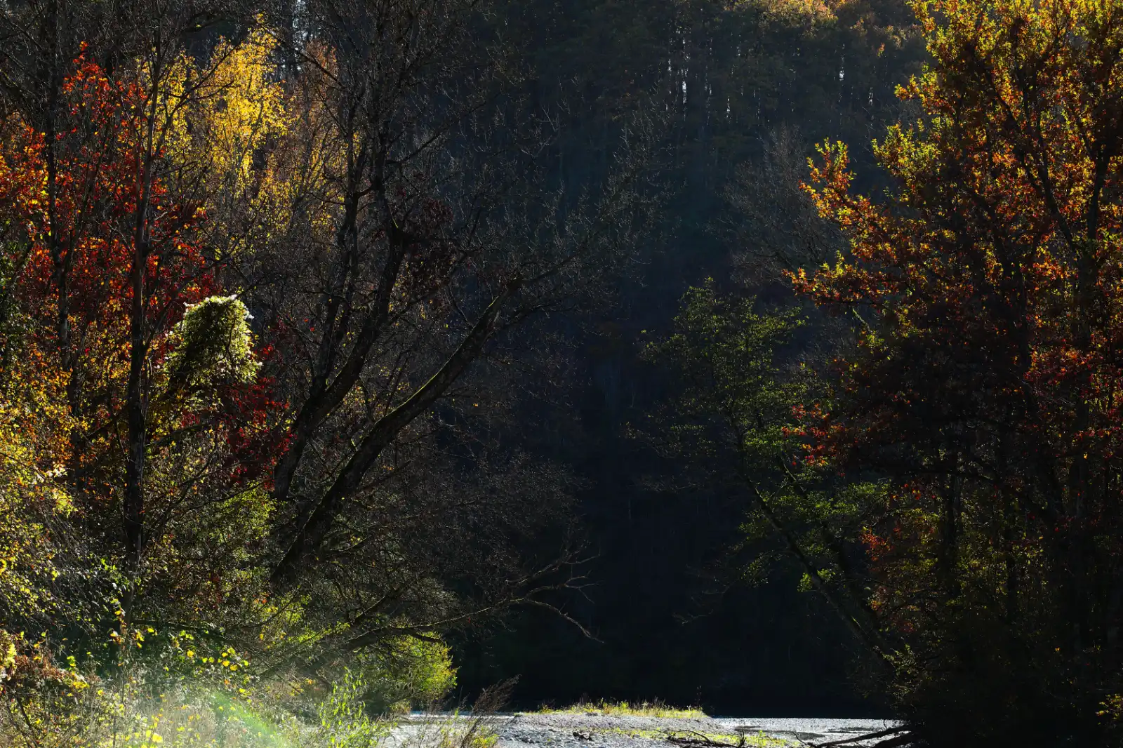 stephane-castella-photographe-geneve-landscape-00030