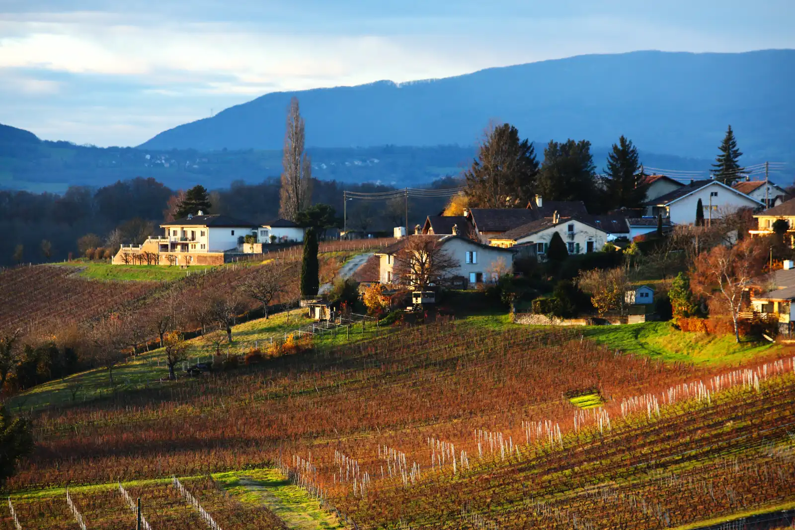 stephane-castella-photographe-geneve-landscape-00031