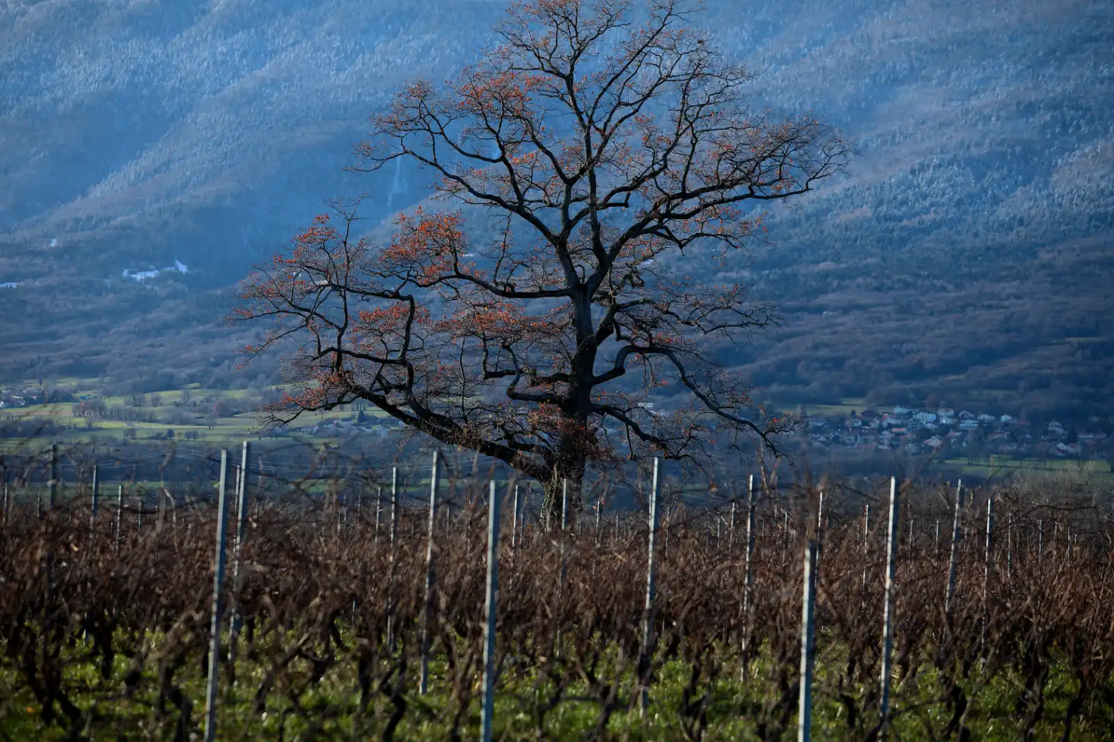 stephane-castella-photographe-geneve-landscape-00033