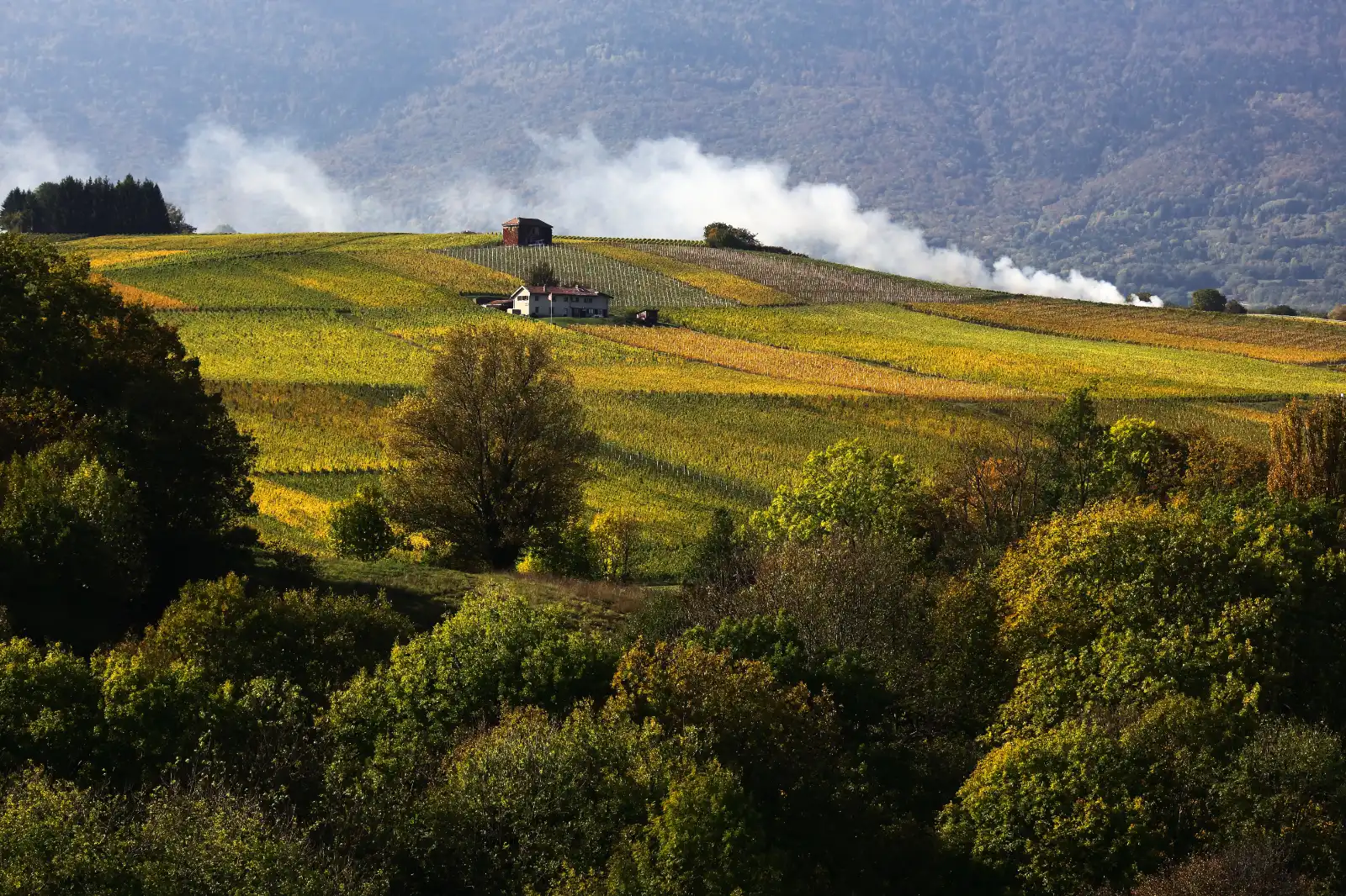 stephane-castella-photographe-geneve-landscape-00034