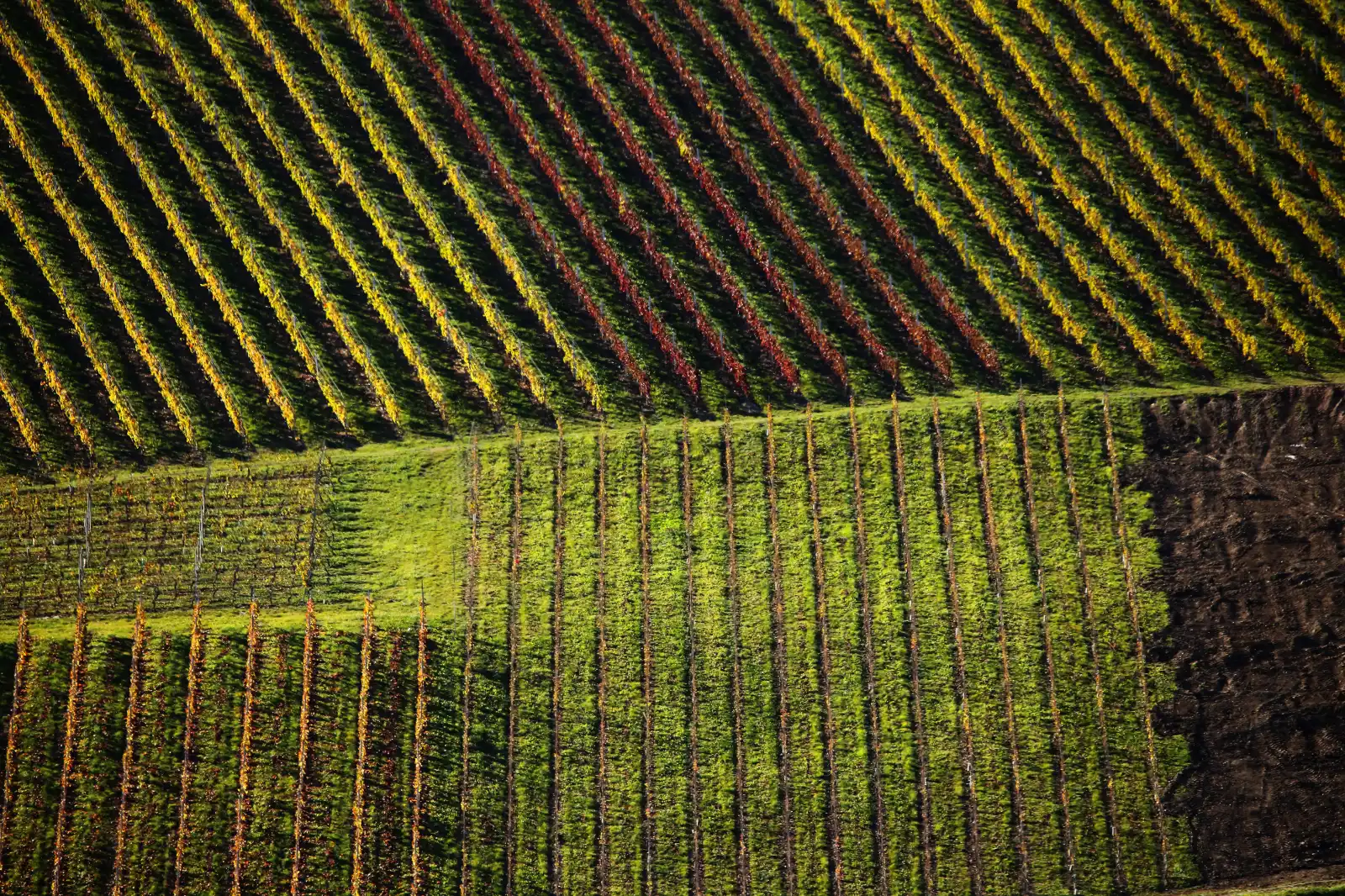 stephane-castella-photographe-geneve-landscape-00036