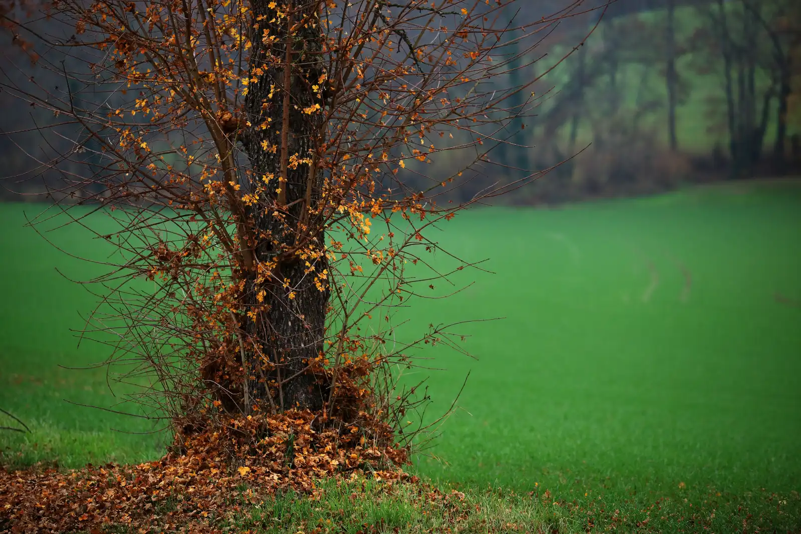 stephane-castella-photographe-geneve-landscape-00037