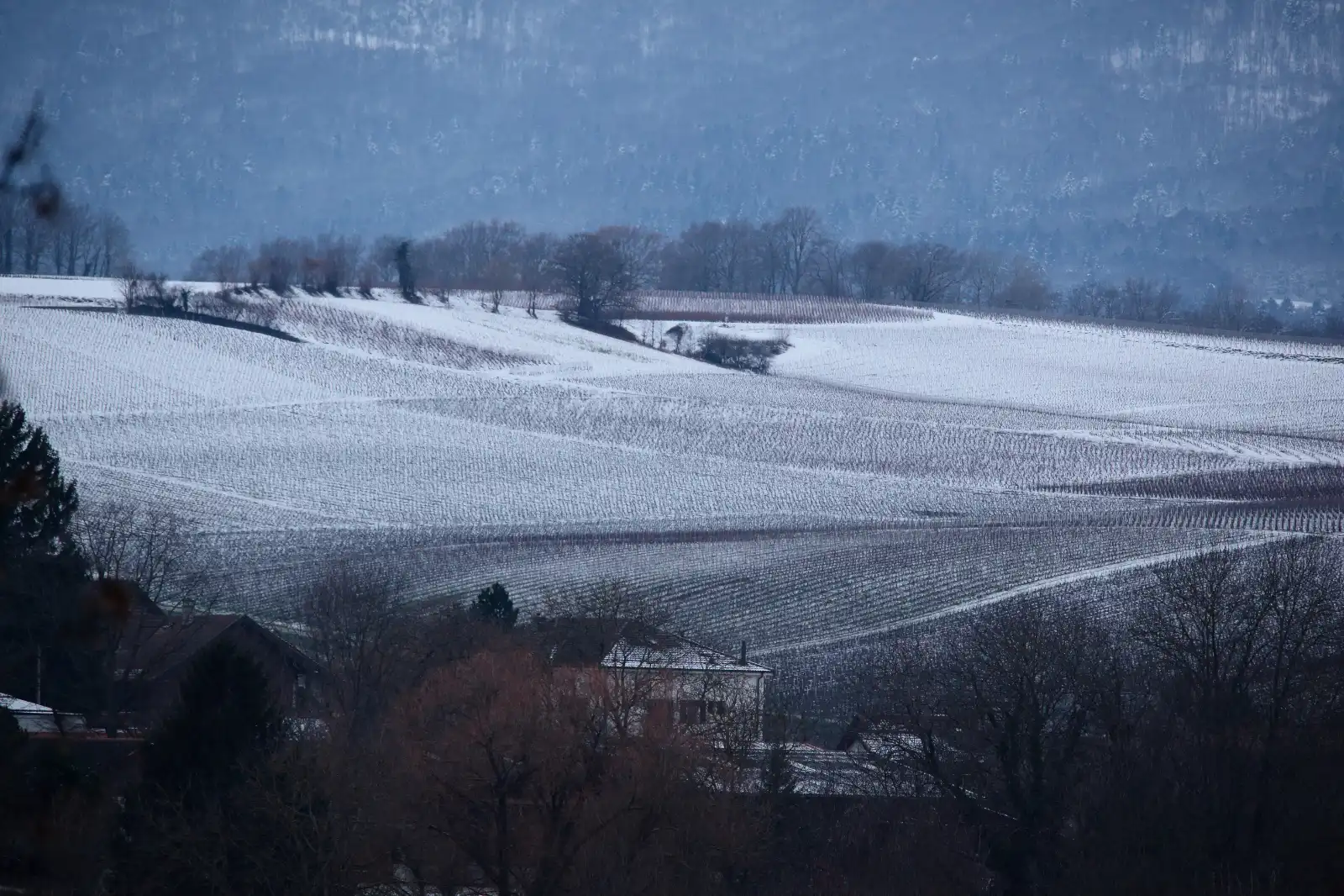 stephane-castella-photographe-geneve-landscape-00038